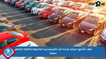 كيف تشتري سيارة جديدة من «مرسيدس» و«رينو» و«كيا» بأرخص سعر؟